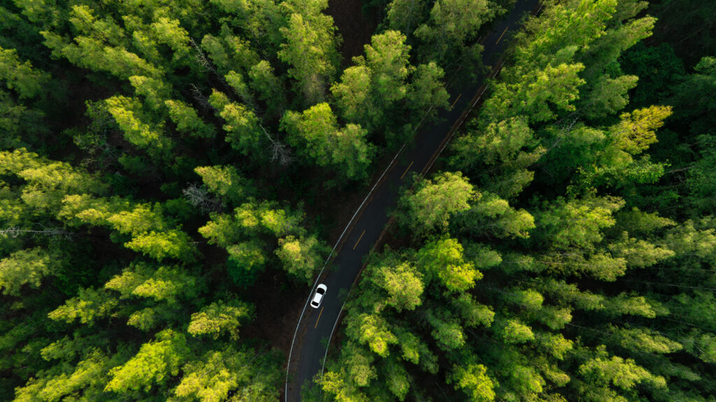 Berkshire Partners 2024 Year in Review